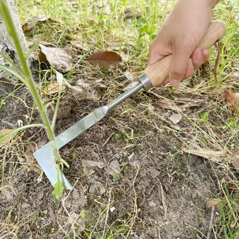 ステンレス鋼の隙間除草ツール、多機能園芸用手工具、庭、テラス - Gardening Tools Used For Weeding のレビューと価格