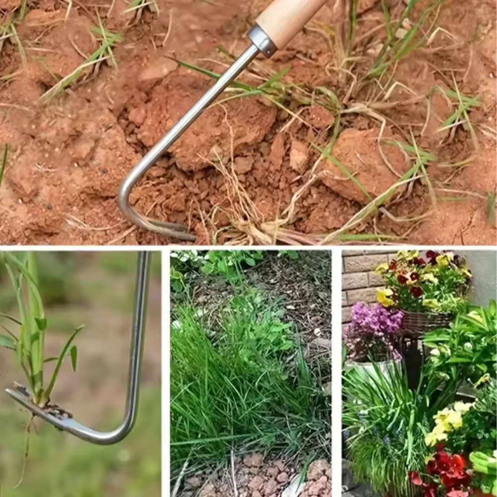 ステンレス鋼の隙間除草ツール、多機能園芸用手工具、庭、テラス - Gardening Tools Used For Weeding のレビューと価格