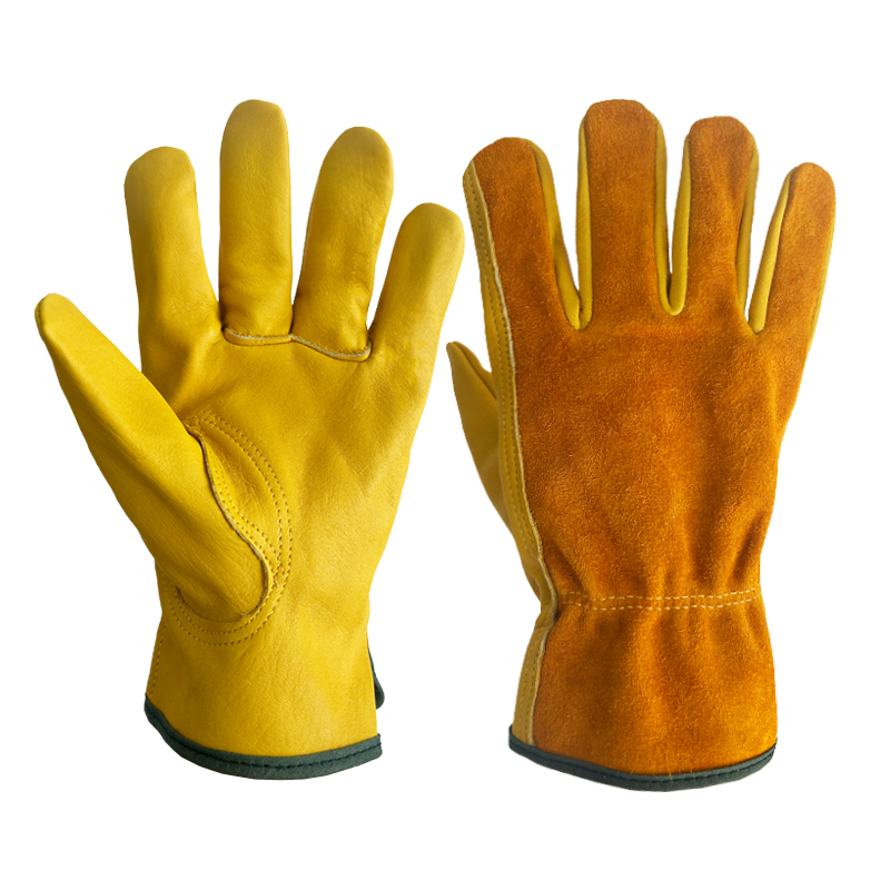 キャンプ用手袋、断熱手袋、耐摩耗性および耐刺傷性の園芸および - Garden Gloves Thorn Proof のレビューと価格