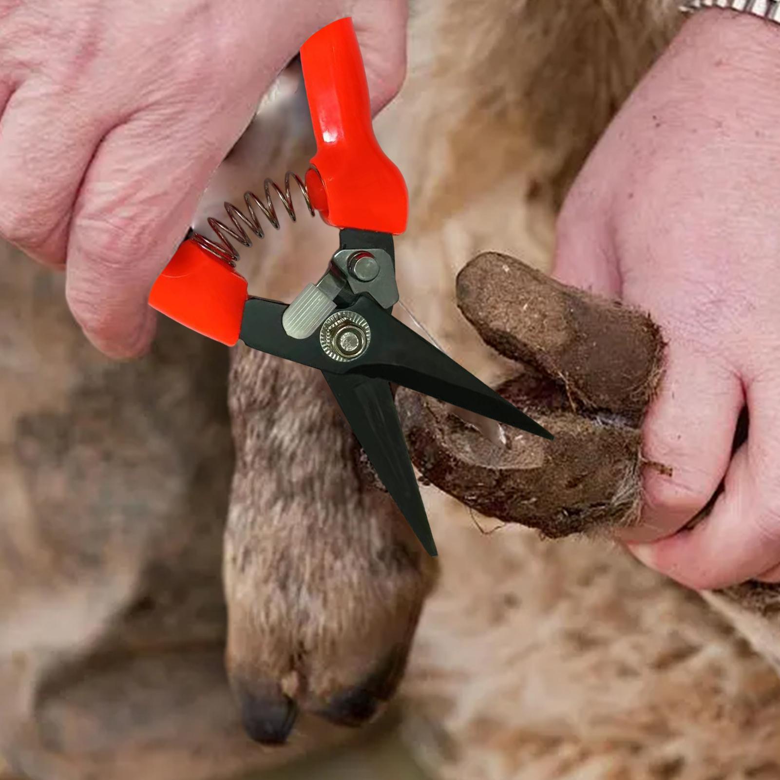 羊の蹄トリマー、低木植物の花剪定鋏、庭用ハサミ、ヤギの蹄トリ - Garden Hand Trowel のレビューと価格