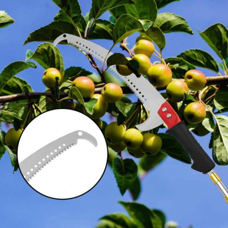 伸縮式ハイブランチハンドソー,シングルフックソーとダブルフッ - Garden Hand Trowel のレビューと価格