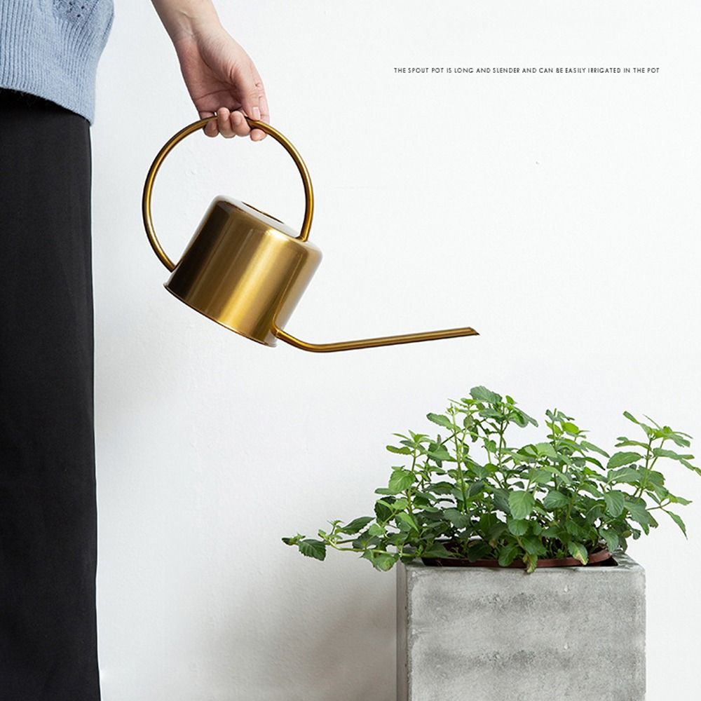u 高品質 1.3L 植物スプリンクラーケトル大容量ロング注 - Gardening Tools High Quality のレビューと価格