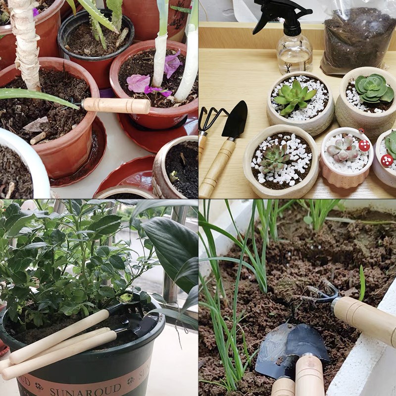 3PC/1 セットミニガーデニングツールセットポータブル小型 - Gardening Tools Gifts のレビューと価格