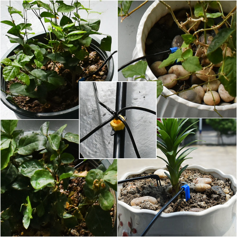 温室鉢植え湾曲矢印点滴灌漑セット 2L4L8L 圧力補償ドリ - Root Watering Spike のレビューと価格