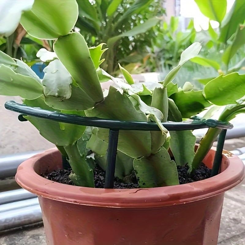 30-1 個プラスチック植物サポート半円形パイルフレーム固定 - Gardening Tools Gifts のレビューと価格