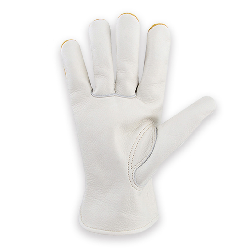 革の安全作業用手袋ガーデニング大工手袋通気性のある衛生的なト - Garden Gloves Thorn Proof のレビューと価格