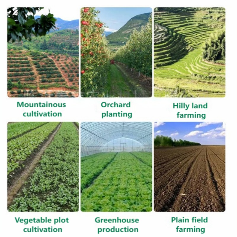 手押し式野菜播種機、多列精密播種機、ニンジン、玉ねぎ、キャベ - Fertilizer Dispenser のレビューと価格