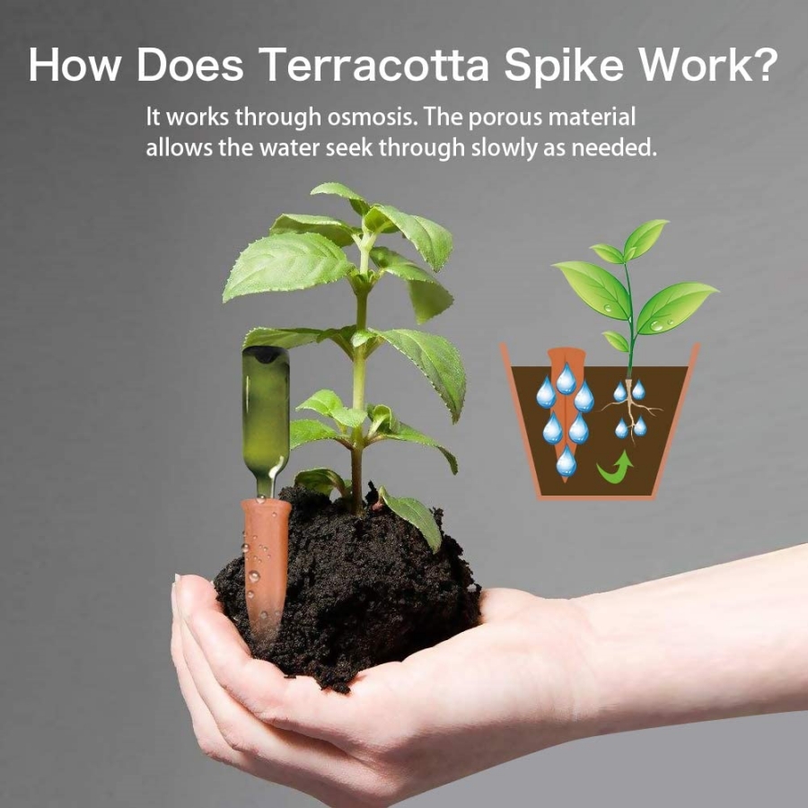 テラコッタの自動散水装置,点滴灌漑システムツール,ホームガー - Root Watering Spike のレビューと価格