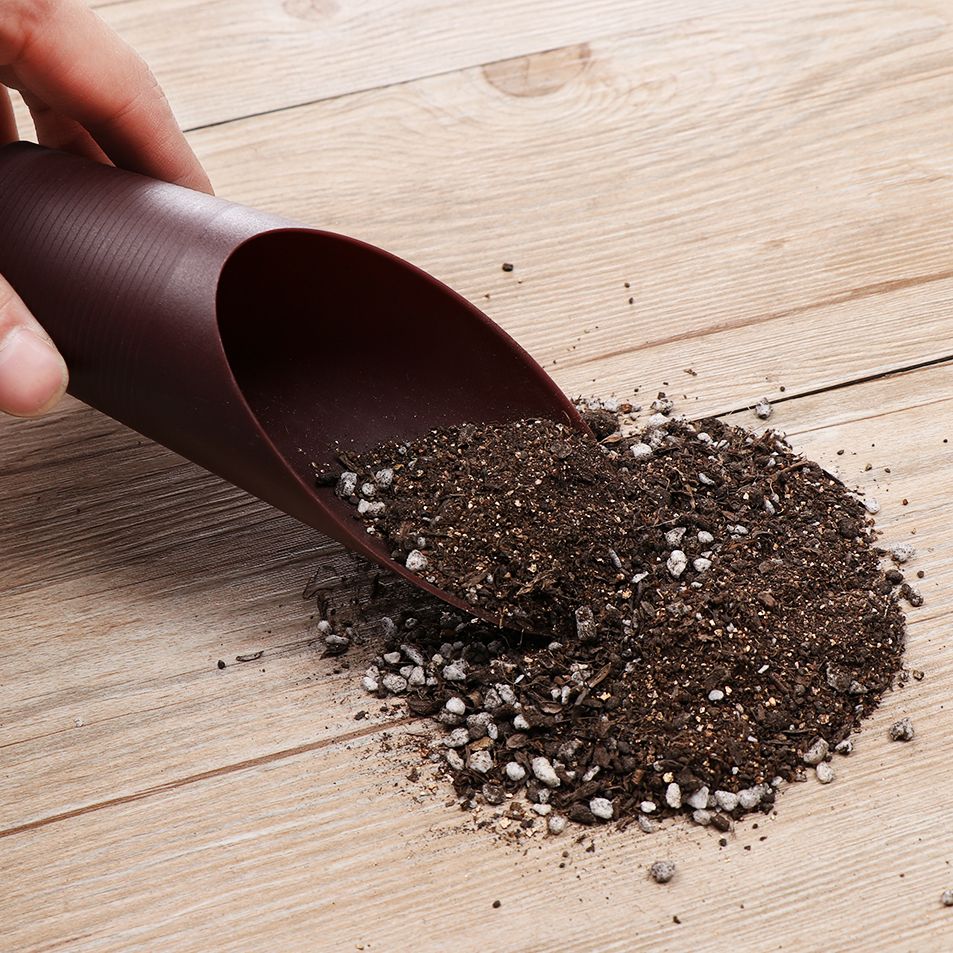 プラスチック製の庭の手入れ用の芝生の形をしたポーチ,植物が付 - Gardening Tools Gifts のレビューと価格